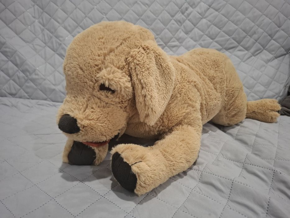 Cão peluche Cosig Golden 70cm