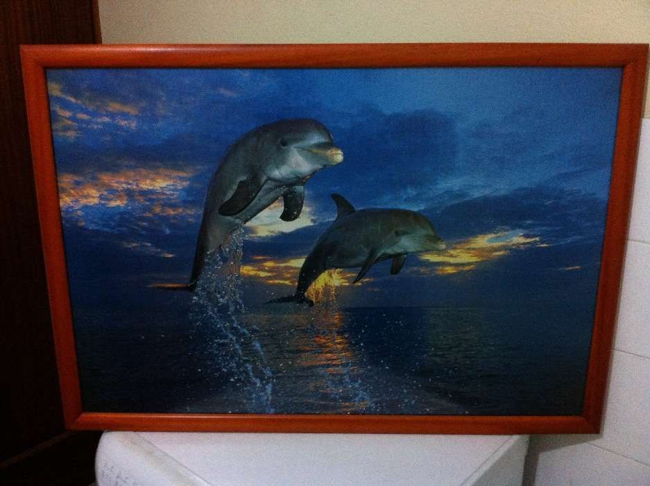 Vendo quadros de sala