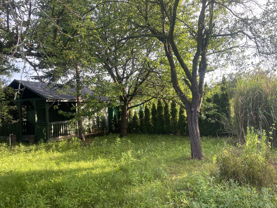 Działka ROD Warneńczyka/ Radarowa 31