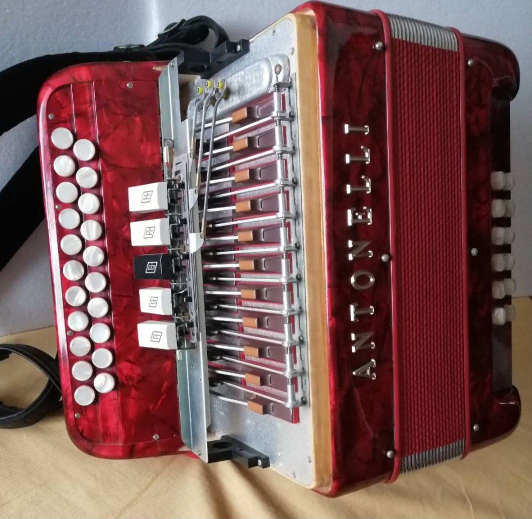 Concertina Antonelli como nova