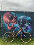 rower dirt bergamont kiez dirt (ns,dartmoor,yt,chromag,rockshox)