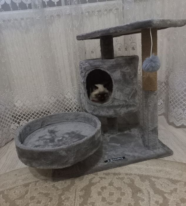 Домик кіхтидерочка для котиків