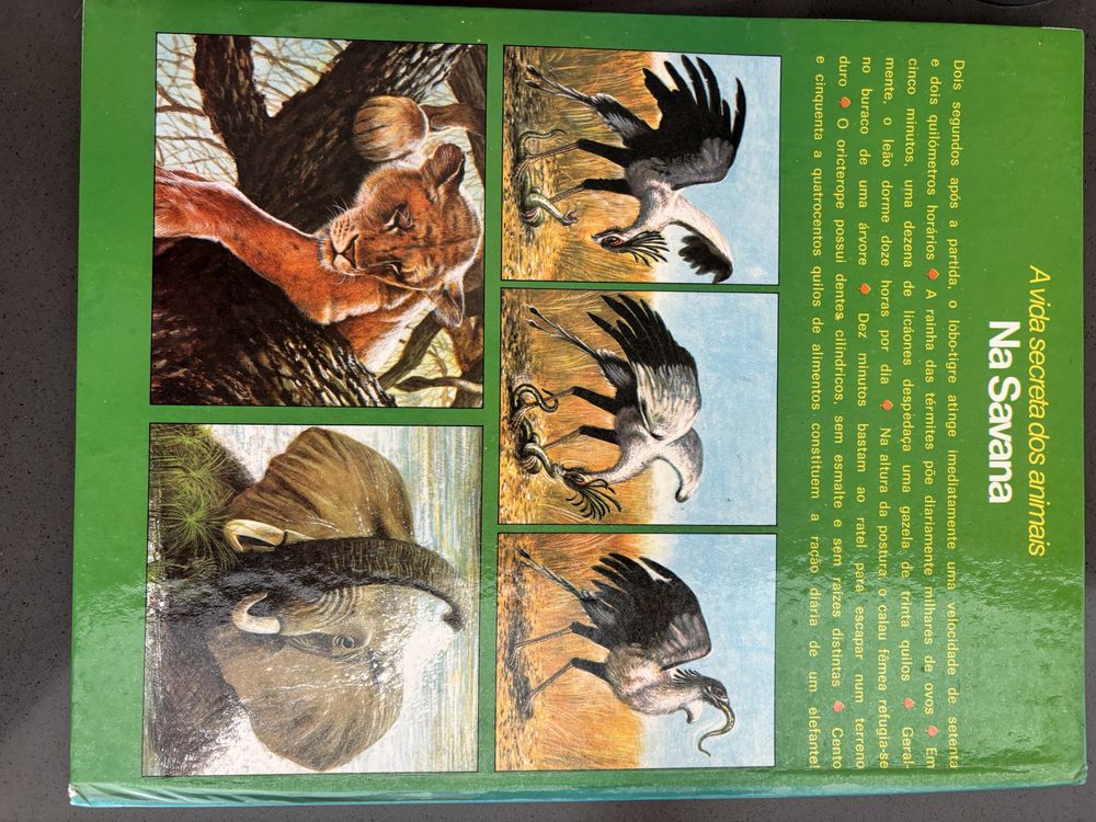 A Vida Secreta dos Animais na Savana