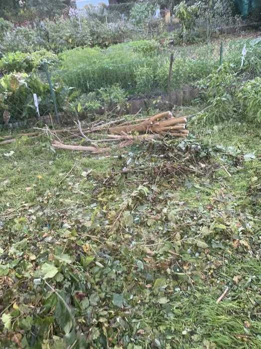 Karczowanie działek, wycinka drzew, czyszczenie pod budowę, sprzedaż