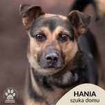 Hania uratowana z Radys czeka na dom w OTOZ Animals Ciapkowo!