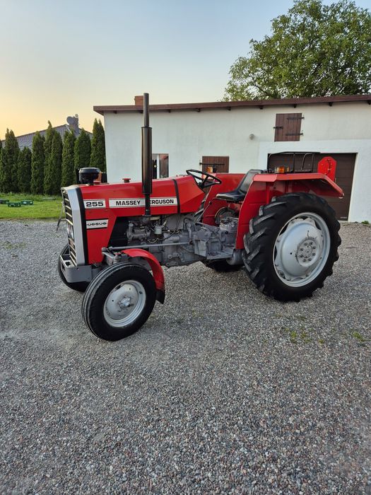 URSUS MF 255 Stan bdb.