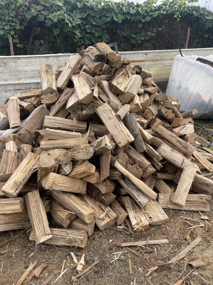 Lenha eucalipto seca