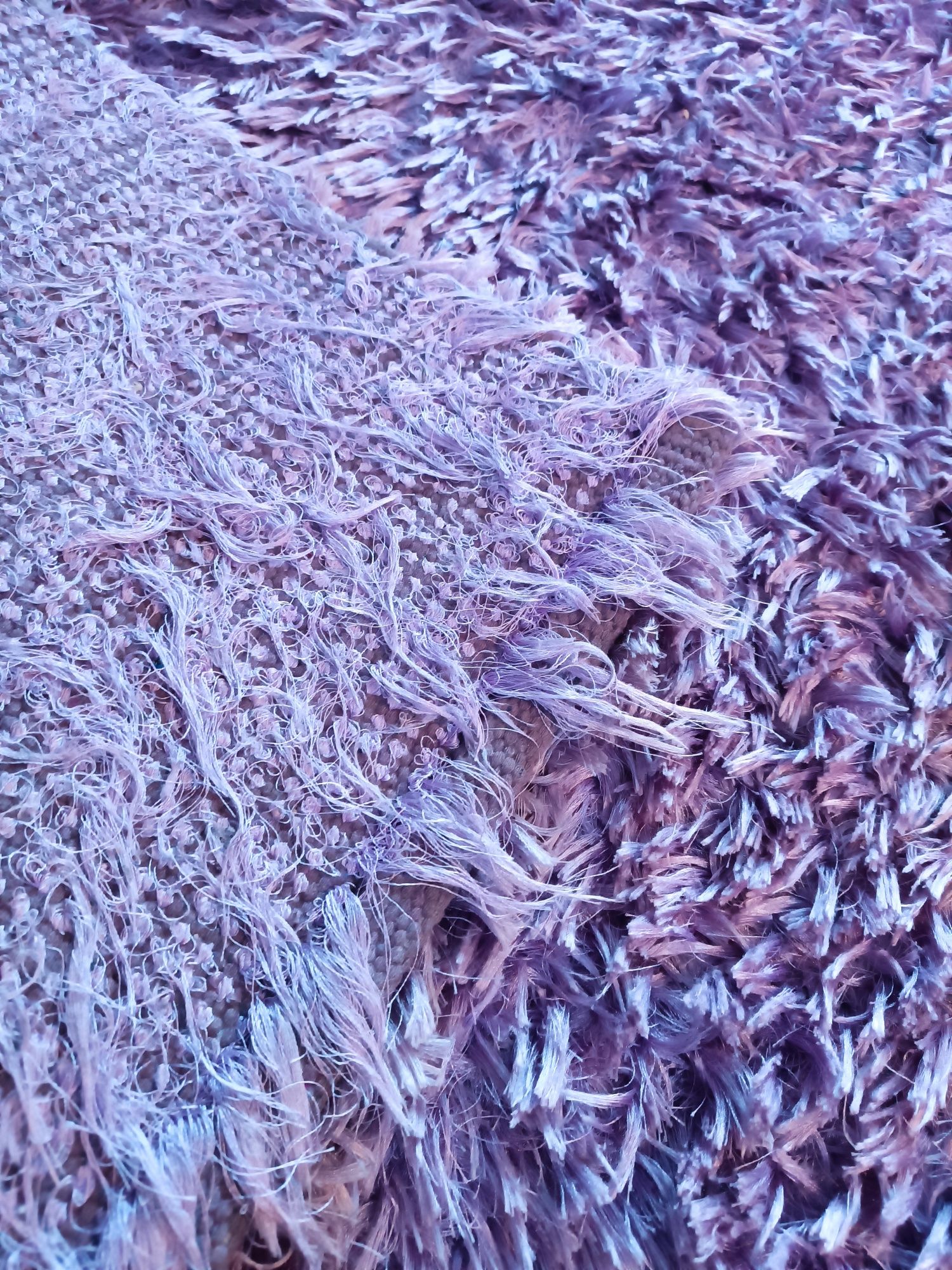 Carpete lilás 3m x 2m