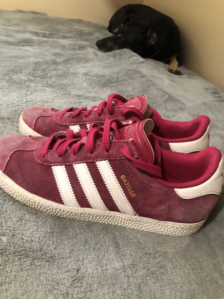 Adidas gazelle оригінал