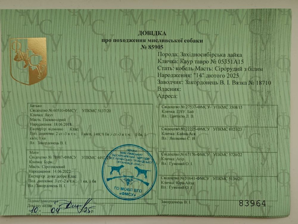 Терміново Західносибірська лайка