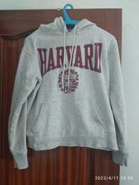 Sweatshirt havard