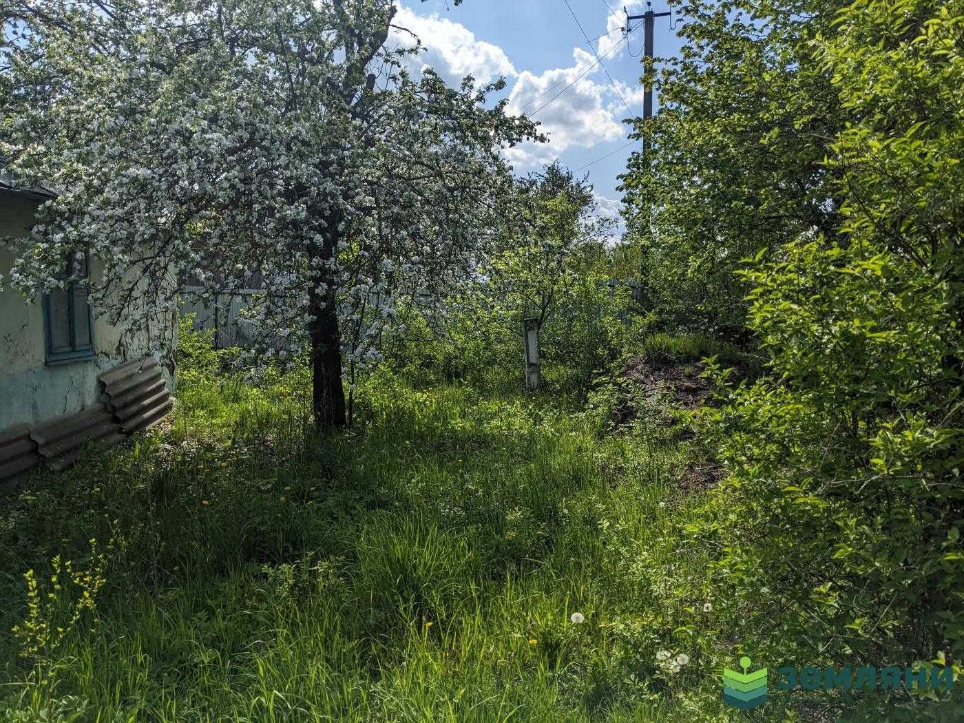 Продаж земля 19,16сот в Клубівцях під забудову