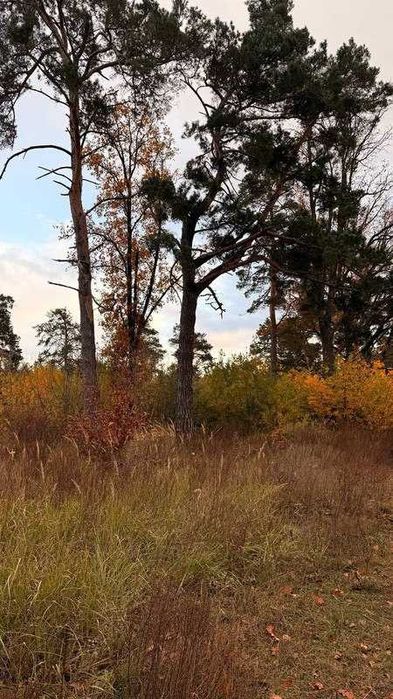 Земельна ділянка під котеджне містечко біля Києва! Власне озеро!
