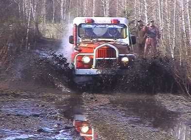 продається бойовий кінь!