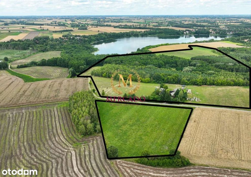 Gospodarstwo 22ha z dostępem do natury – Psary!