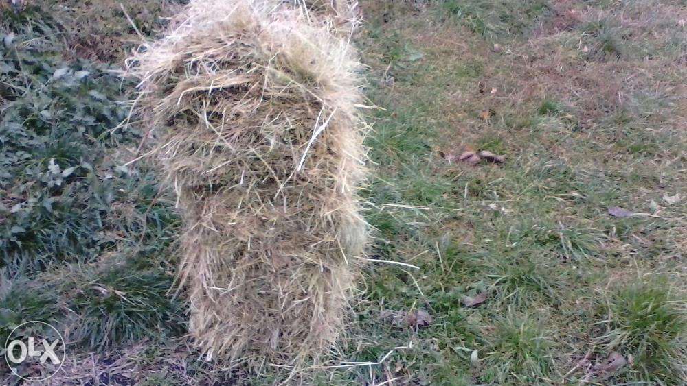 Продам Сіно в тюках