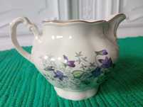 Mlecznik porcelana Chodzież
