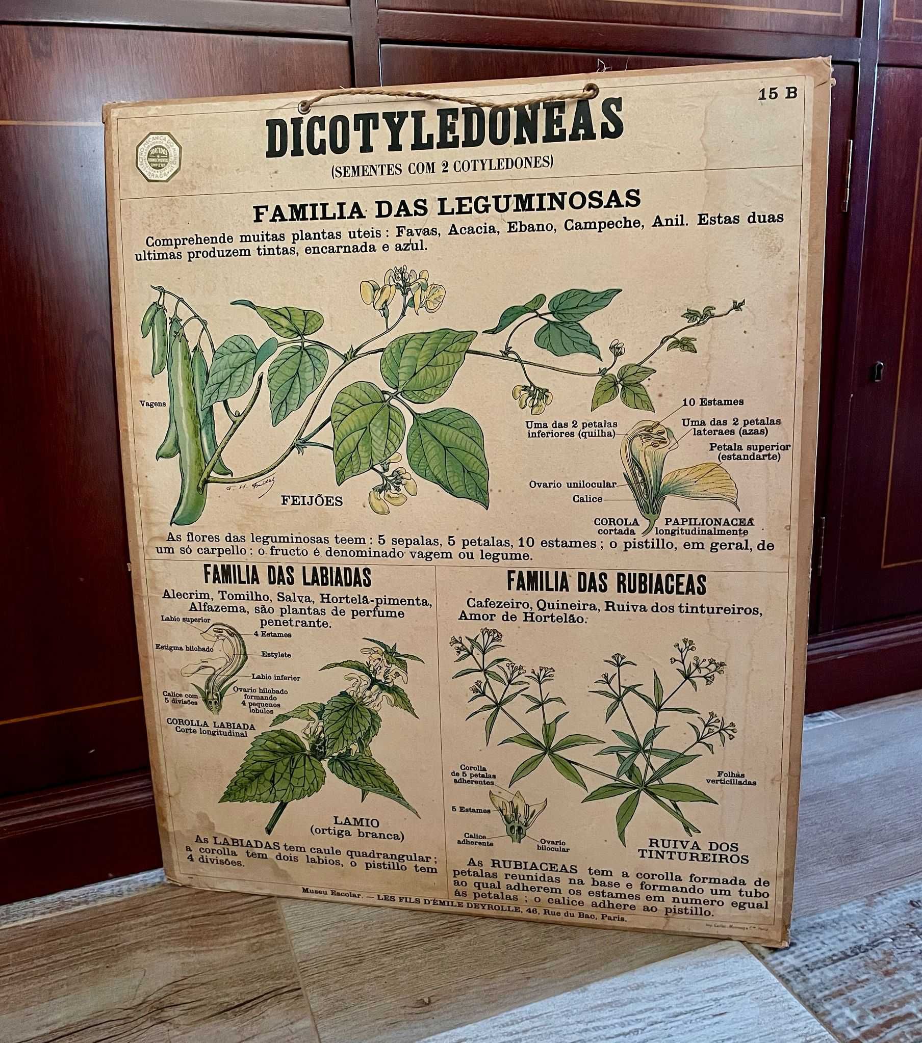 Materiais didáticos, mapas, gravuras, antigos e vintage