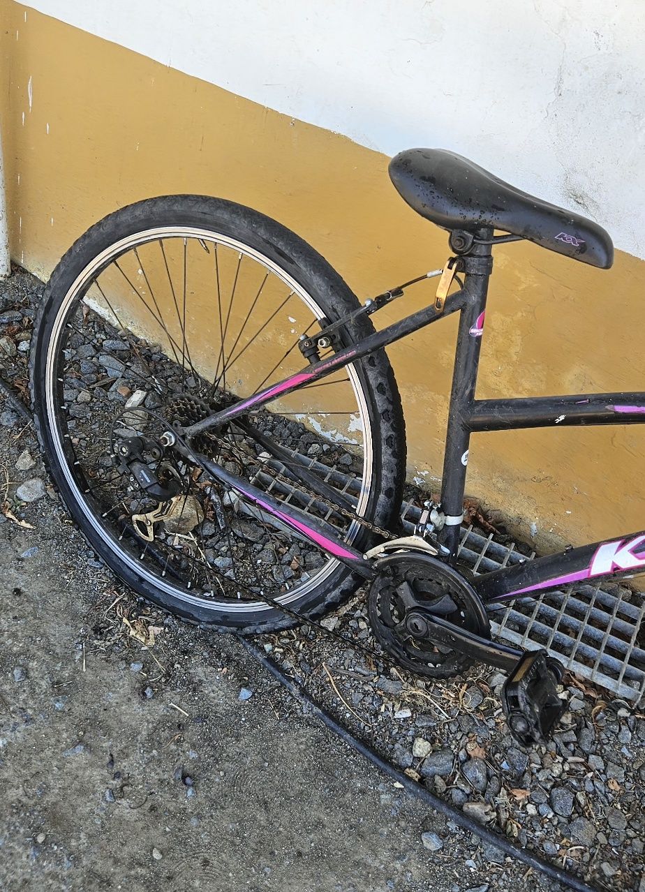 Bicicleta com manete