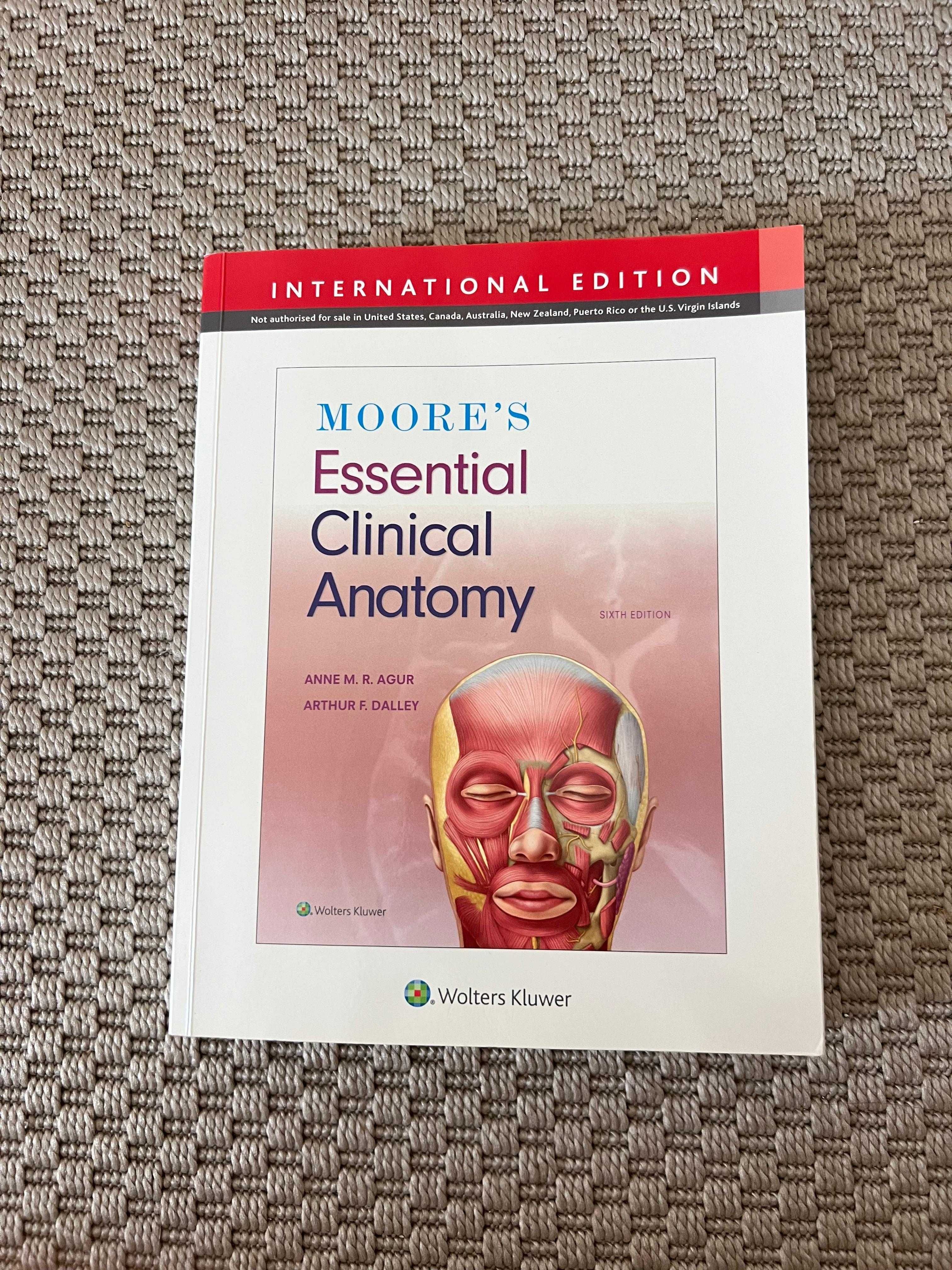 Livro Moore's Essential Clinical Anatomy Sixth Edition