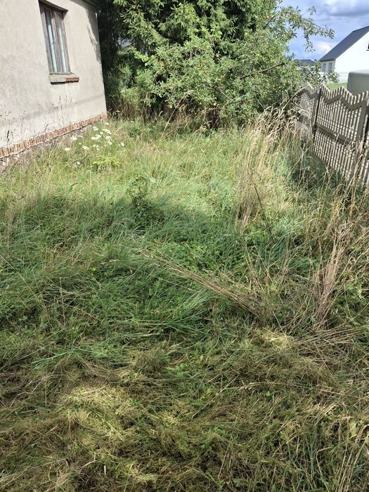 Koszenie traw, trawników, usługi glebogryzarką, wycinka drzew