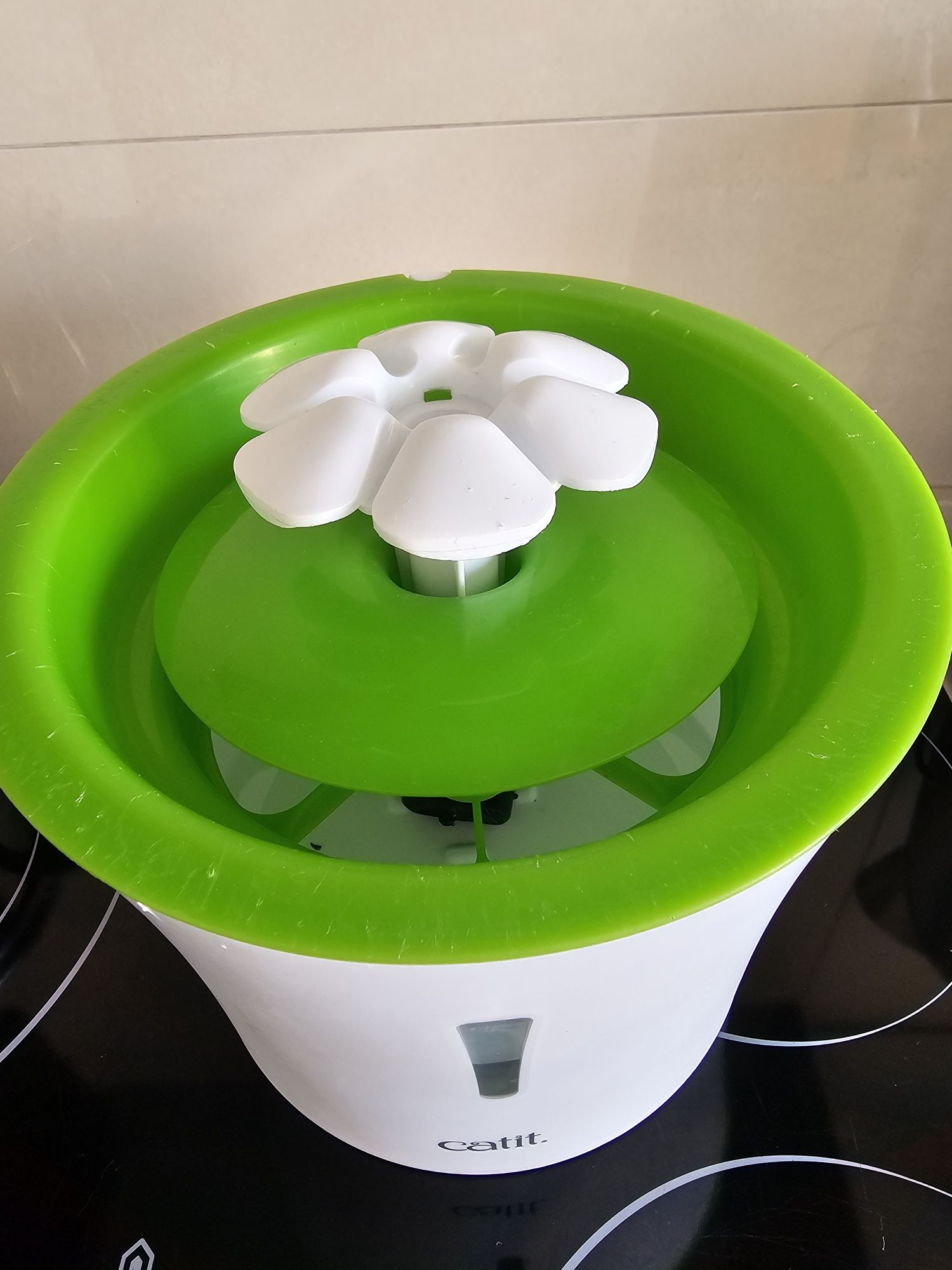 Bebedouro para gato