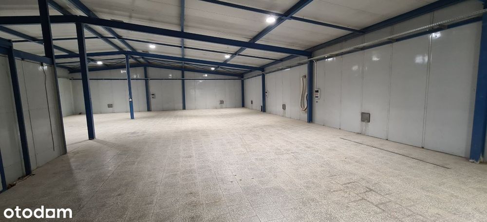 Wynajmę  2 Halę Magazynową 450m2 i 300m2  biuro Handel Usługi