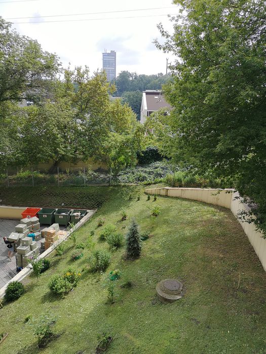 2 комн квартира Протасов яр, клубный дом, М. Олимпийская, ЖК Альпийка