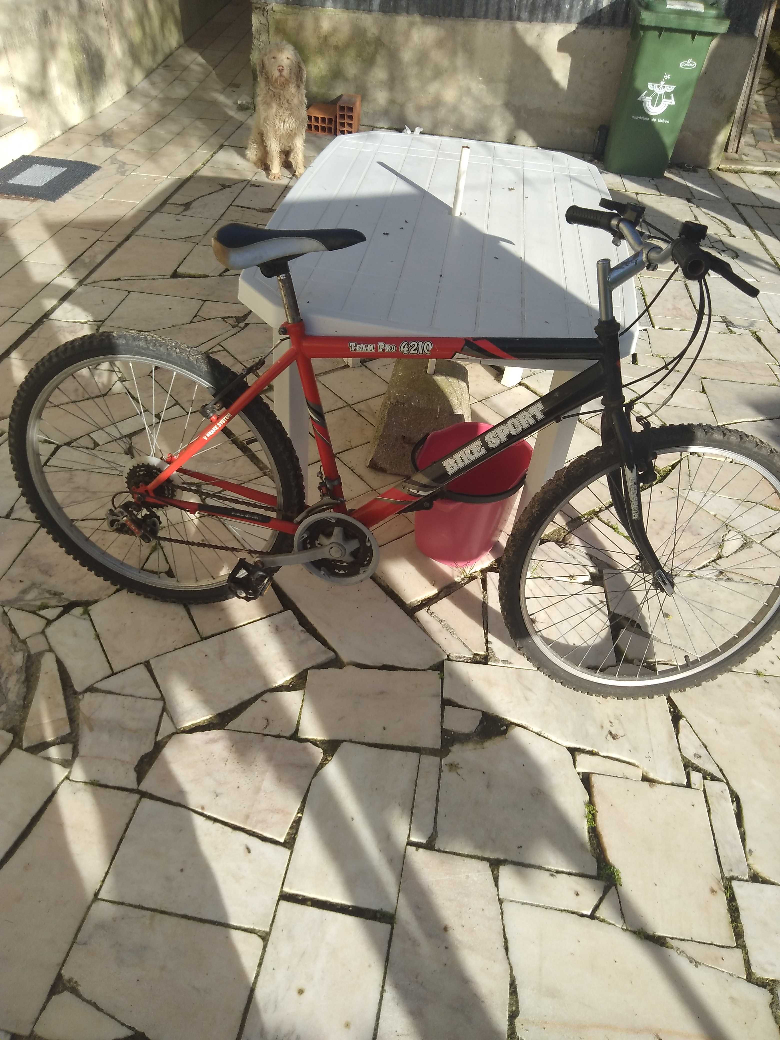 Vendo bicicleta usado.