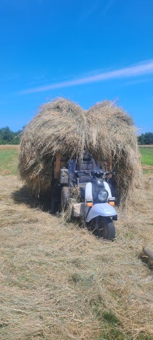 Моторолер муравей під квадроцикл