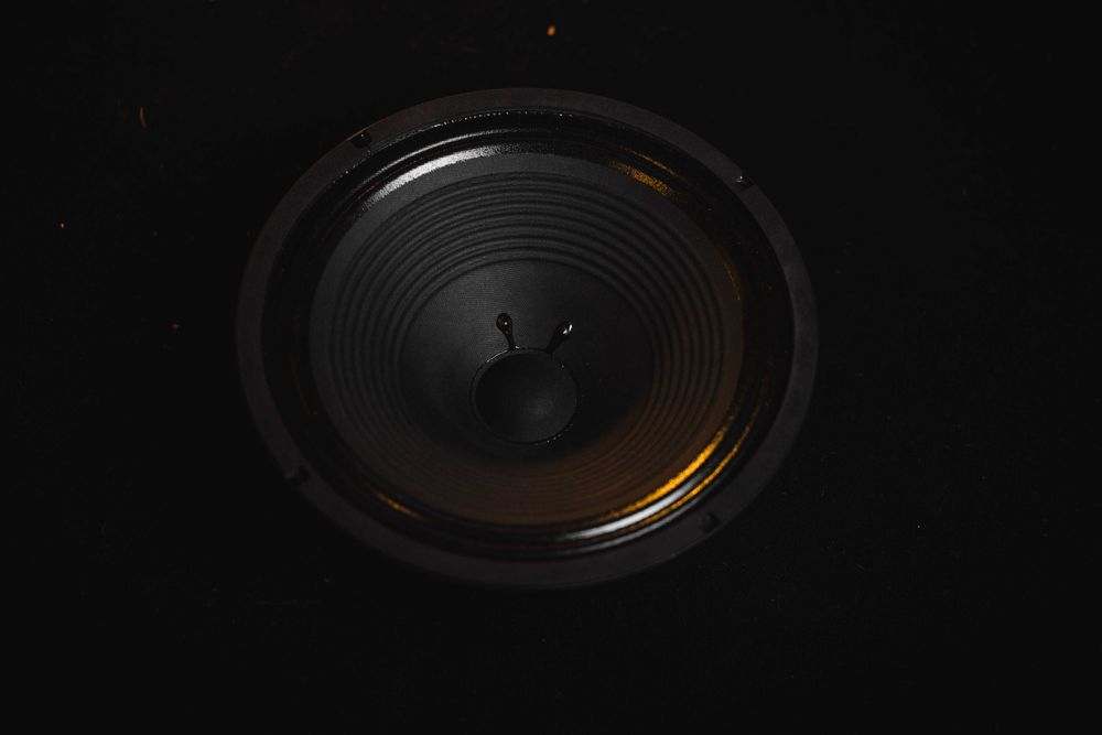 Głośnik 12" HESU Demon 8 ohm nowy