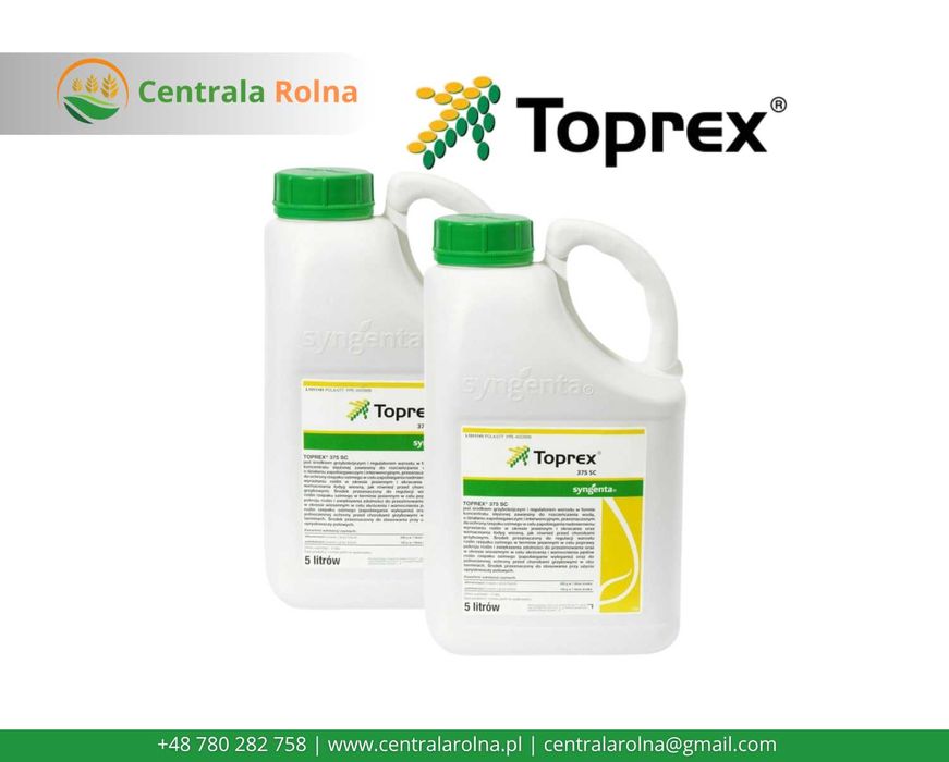 Toprex 375 SC – Regulator wzrostu i fungicyd do rzepaku ozimego