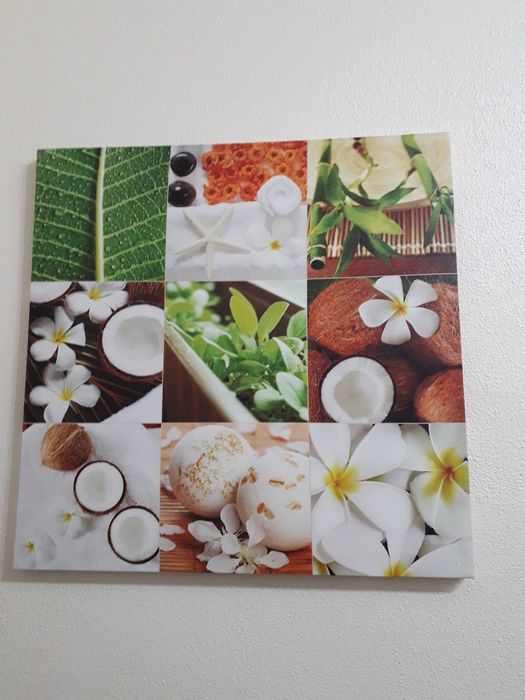 Conjunto de 5 quadros