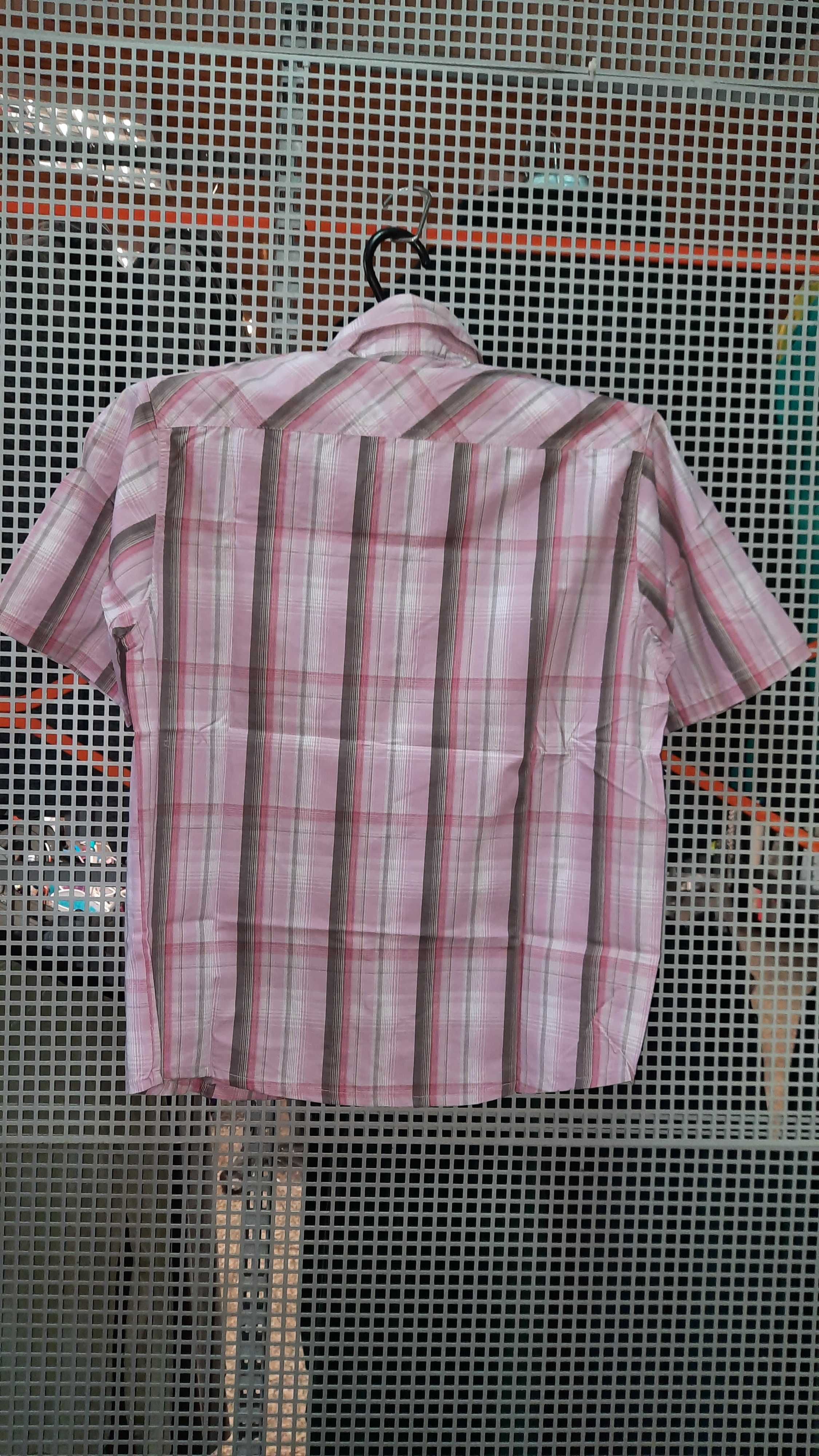 Koszula męska IGUANA ( S, M, L, XL, XXL )