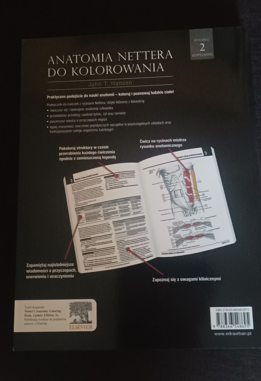 Anatomia Nettera do kolorowania