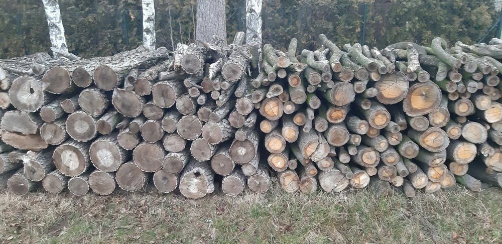 Sprzedam drewno opałowe i dłużyca