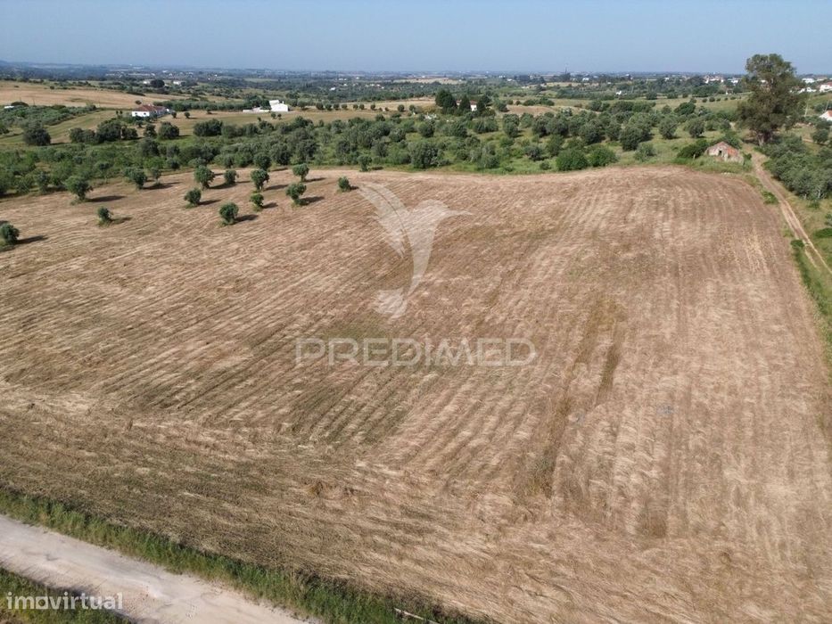 Terreno Rústico com Ruína - Alcorochel, Torres Novas