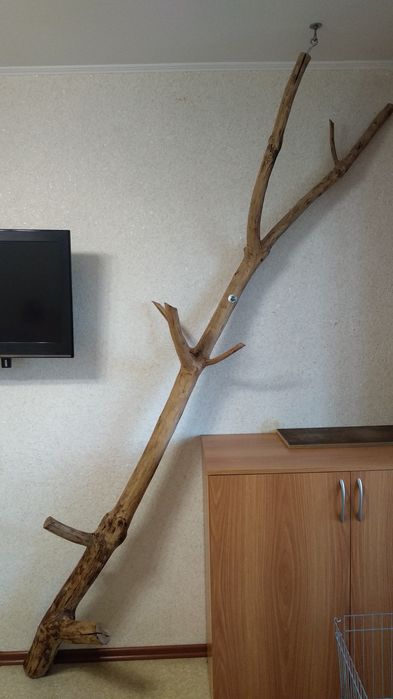 Дерево. Элемент декора.