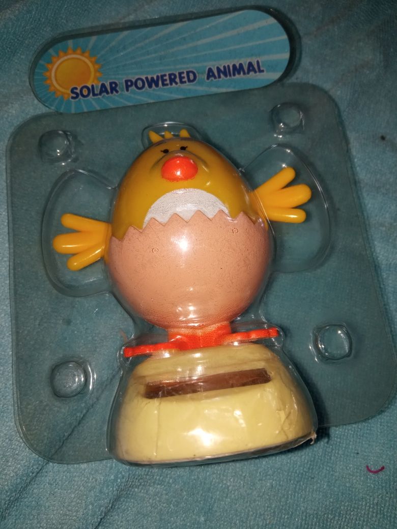 Solarny kurczaczek