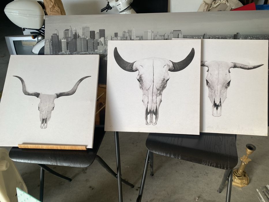 Molduras caveira animal