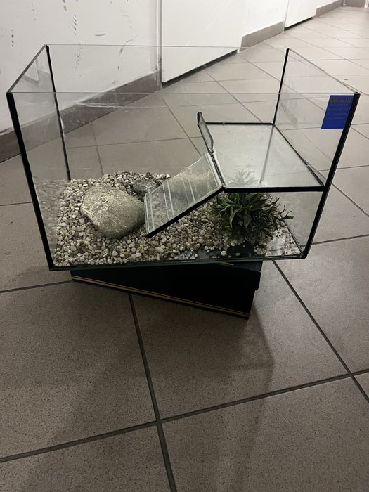 Akwarium Dla Żółwia