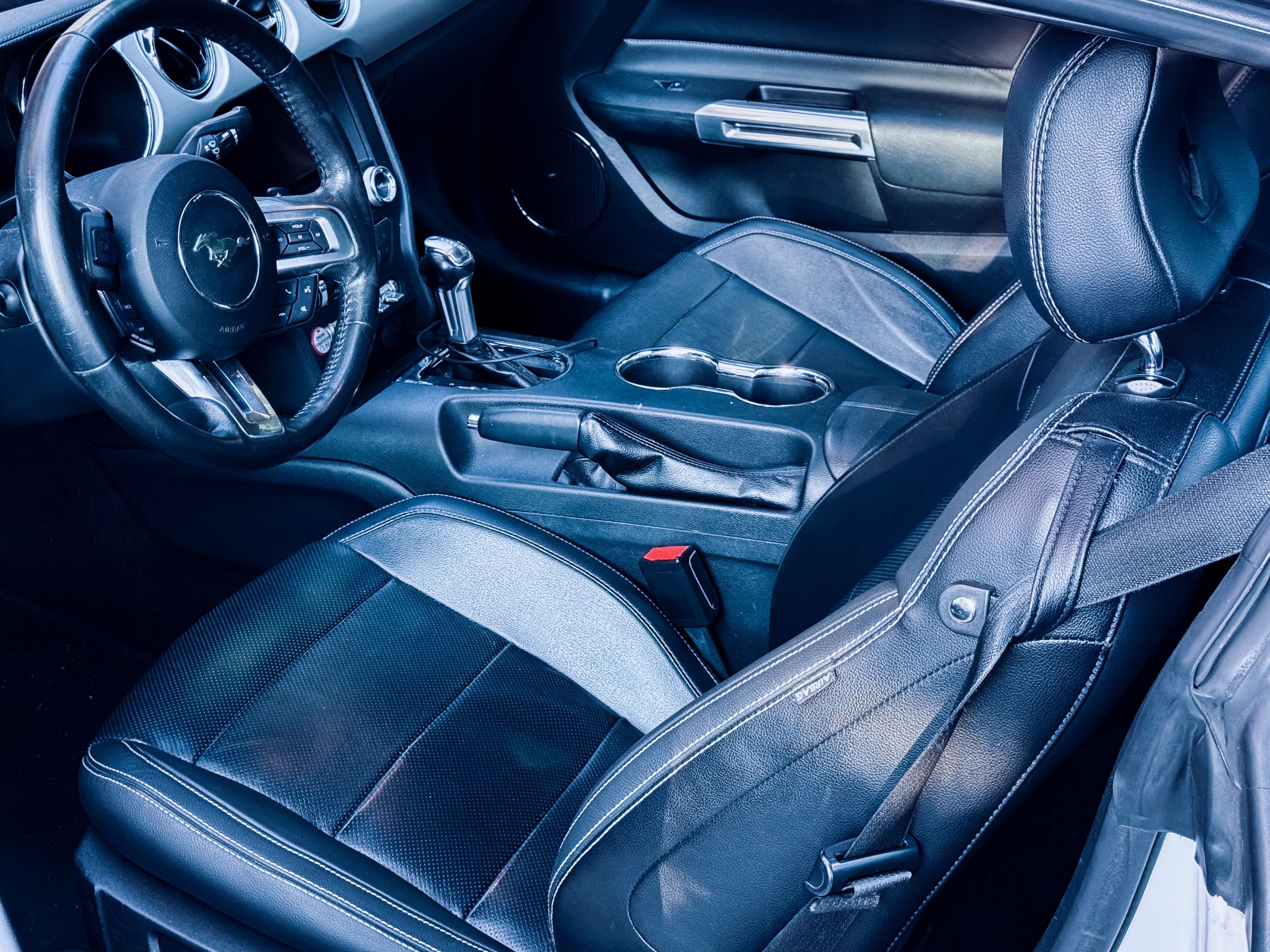 Mustang S550 Premium 315hp Skóry Navi Rush+Flowmaster Drugi Właściciel