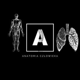 Korepetycje z ANATOMII (Anatomia człowieka)