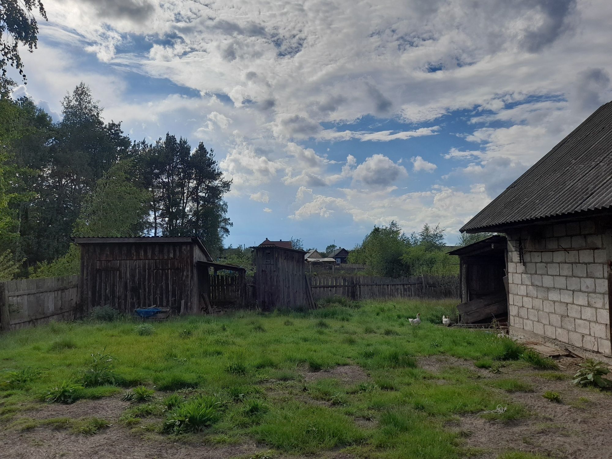 Будинок в дуже гарному стані