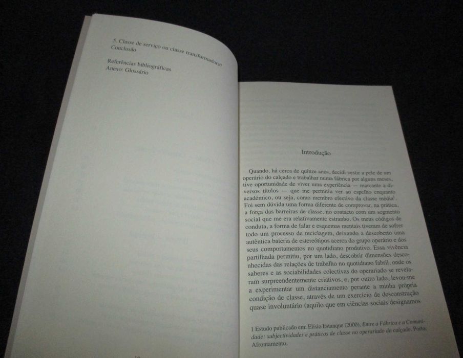 Livro A Classe Média Ascensão e Declínio Elísio Estanque FFMS
