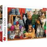 Puzzle 1000 elementów. Kocie spotkanie. Trefl