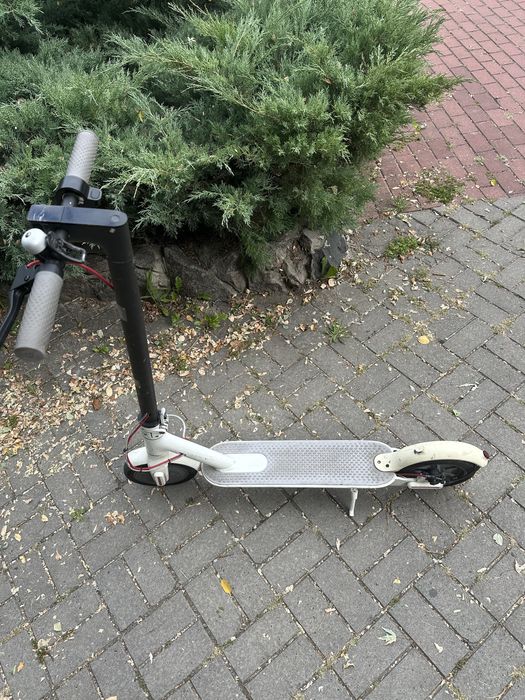 Электросамокат Xiaomi M 365 White