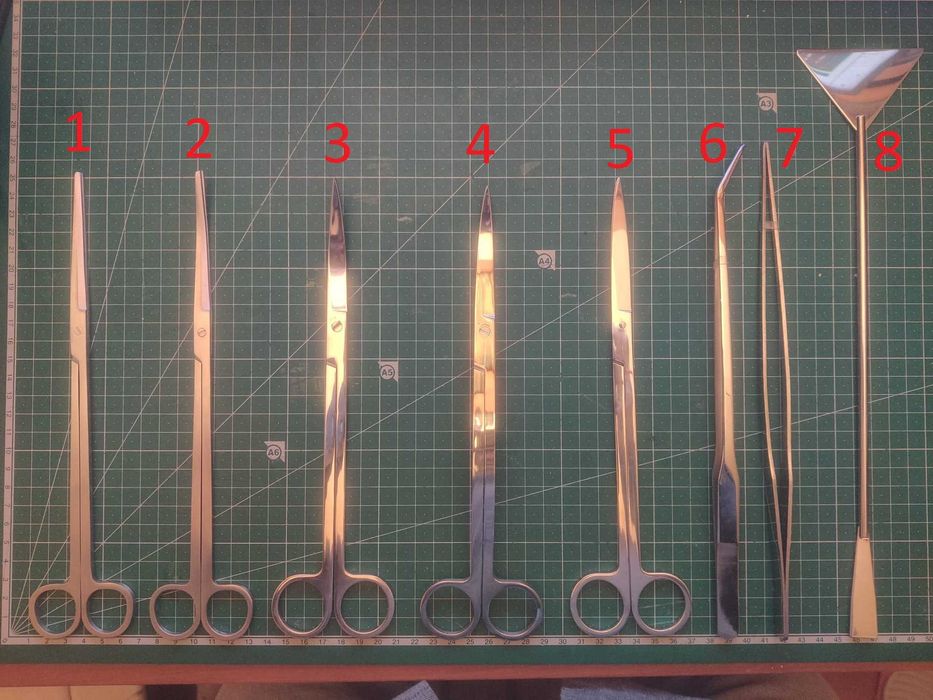 Pinças e tesouras de poda de aquascaping