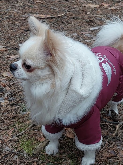 Зимовий комбінезон