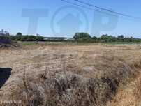 Terreno para construção- Salvaterra de Magos- 85.000€